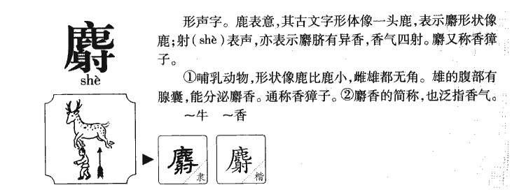 麝字字源