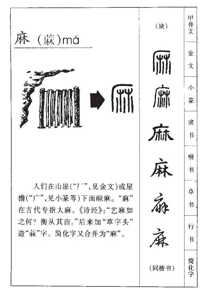 麻字字源