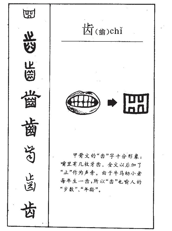 齿字字源