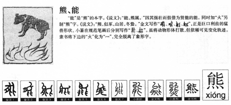 熊字字源