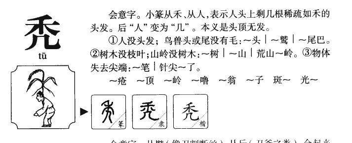 秃字字源