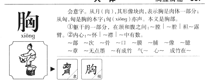 胸字字源