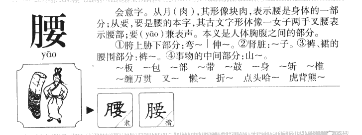 腰字字源