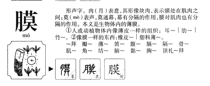 膜字字源
