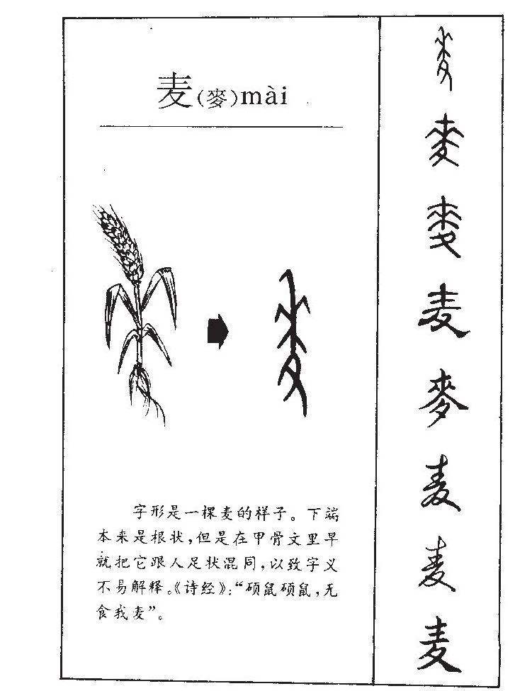 麦字字源